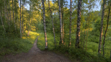 Картинка природа дороги простор