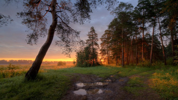 Картинка природа пейзажи простор