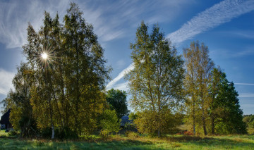 Картинка природа деревья простор