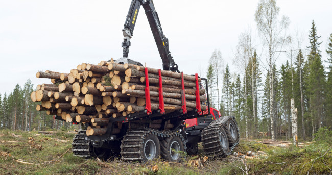 Обои картинки фото техника, лесоповалочная техника, komatsu