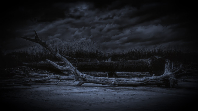 Обои картинки фото природа, другое, коряги, ночь