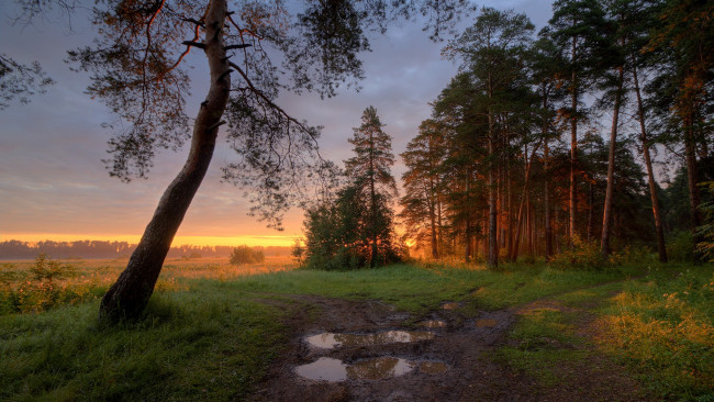 Обои картинки фото природа, пейзажи, простор