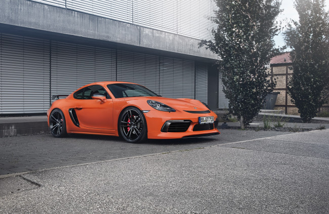 Обои картинки фото автомобили, porsche