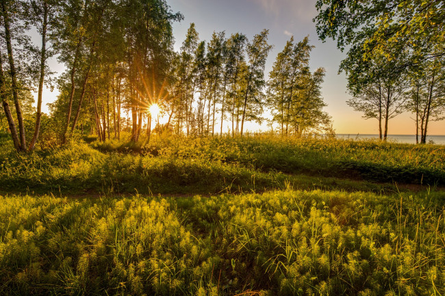 Обои картинки фото природа, восходы, закаты, простор