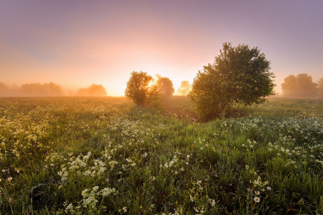 Обои картинки фото природа, восходы, закаты, простор