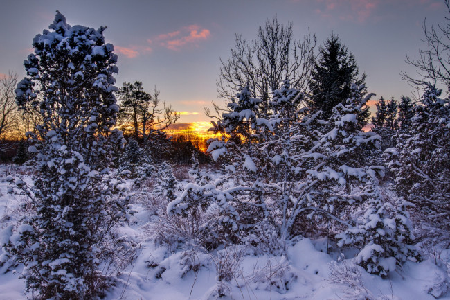 Обои картинки фото природа, зима, простор