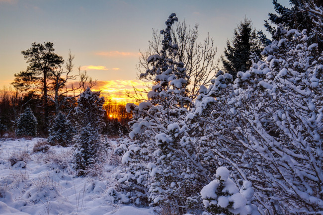 Обои картинки фото природа, зима, простор