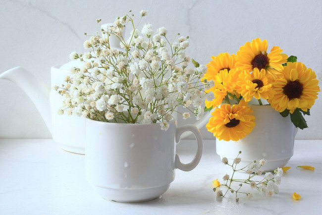 Обои картинки фото цветы, разные вместе, композиция, июль, жёлтые, натюрморт, лето, посуда