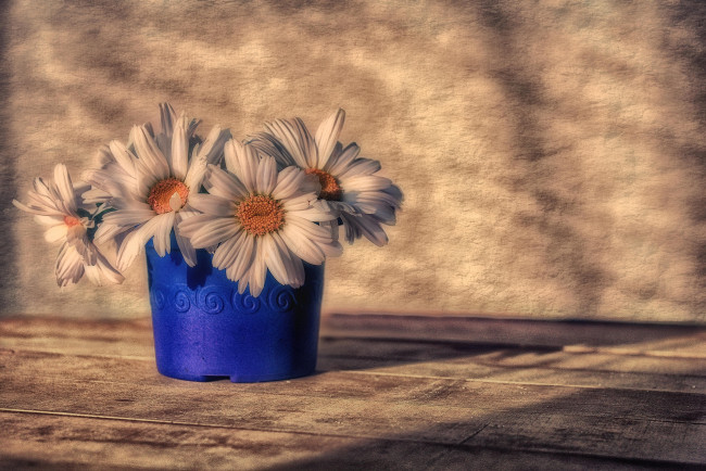 Обои картинки фото цветы, ромашки, букет, открытка, лето, композиция, июль