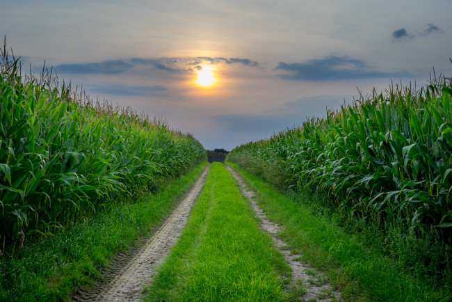 Обои картинки фото природа, дороги, простор