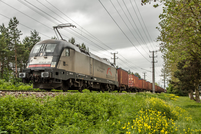 Обои картинки фото техника, электровозы, состав, локомотив