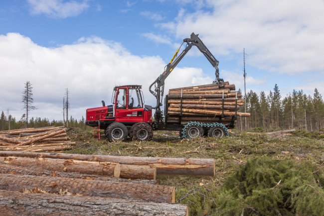 Обои картинки фото техника, лесоповалочная техника, komatsu