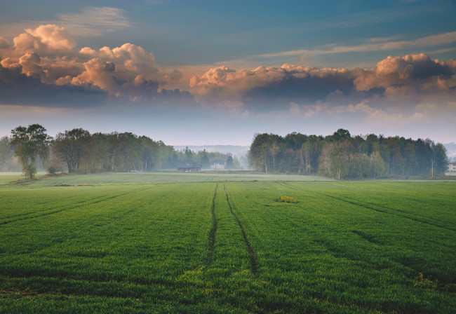 Обои картинки фото природа, поля, утро