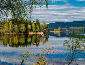 Картинка природа реки озера простор