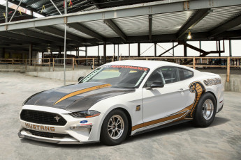 Картинка автомобили mustang ford