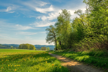 Картинка природа дороги простор