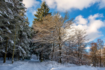 Картинка природа зима простор