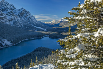 Картинка природа реки озера простор