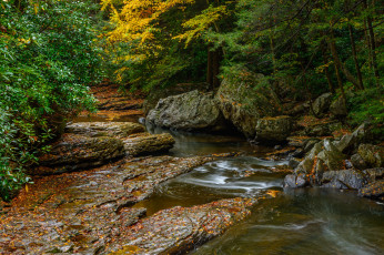 Картинка природа реки озера простор