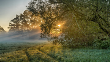 Картинка природа пейзажи простор