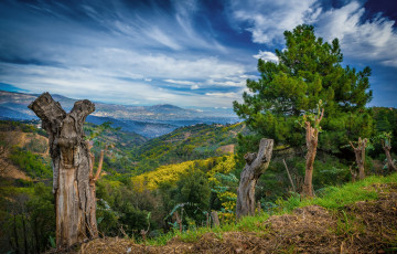 Картинка природа пейзажи простор