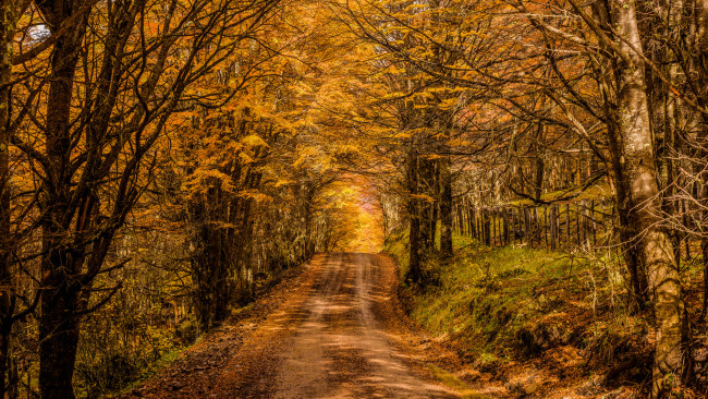 Обои картинки фото природа, дороги, простор