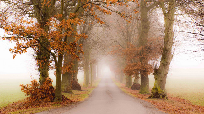 Обои картинки фото природа, дороги, простор