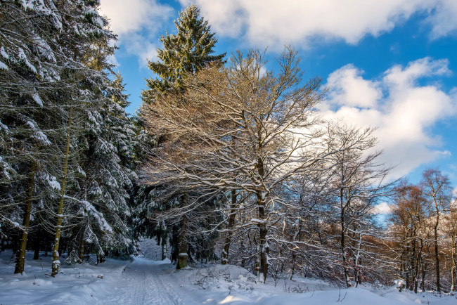 Обои картинки фото природа, зима, простор