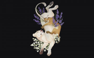 Картинка рисованное животные лев рысь цветы