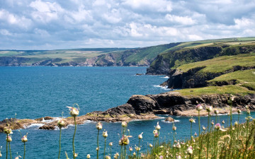 обоя природа, побережье, небо, облака, берег, озеро, луг, растения