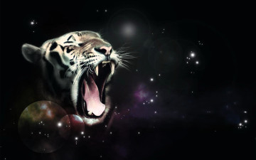 обоя разное, компьютерный дизайн, тигр, пасть, звезды, космос