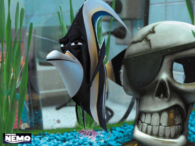 Обои картинки фото мультфильмы, finding, nemo
