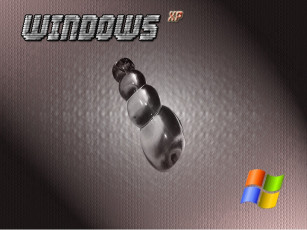 Картинка компьютеры windows xp