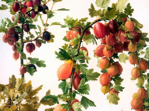 Картинка рисованные природа