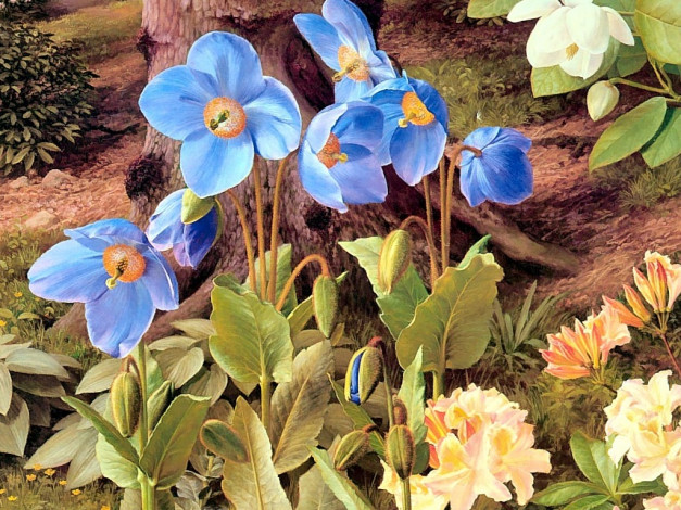 Обои картинки фото рисованные, цветы