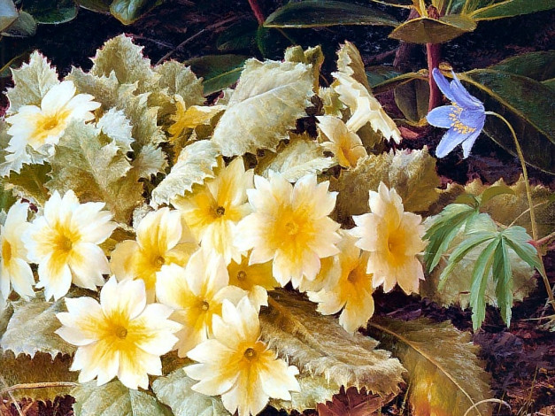 Обои картинки фото рисованные, цветы