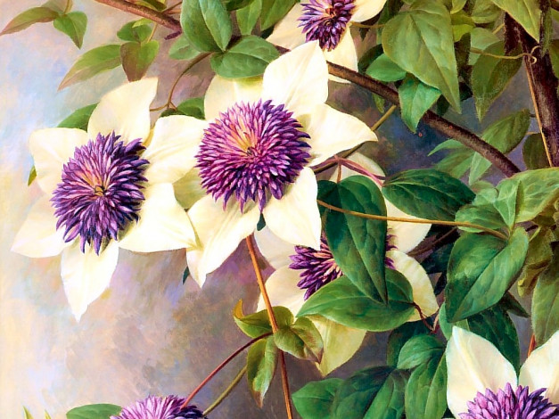 Обои картинки фото рисованные, цветы