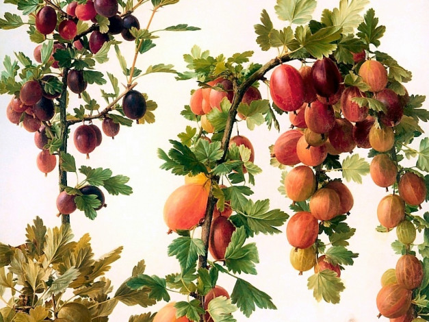 Обои картинки фото рисованные, природа