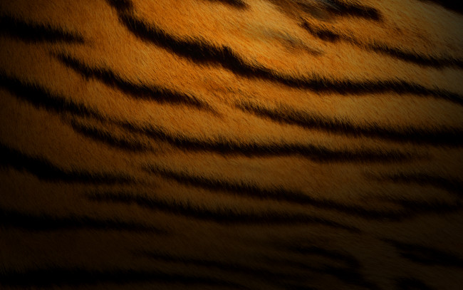 Обои картинки фото разное, текстуры