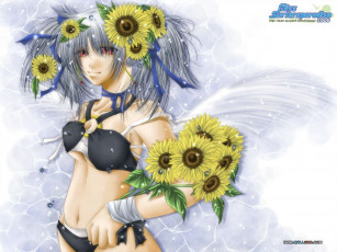 Картинка аниме miss surfersparadise