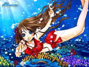 обоя аниме, miss, surfersparadise