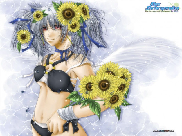 Обои картинки фото аниме, miss, surfersparadise