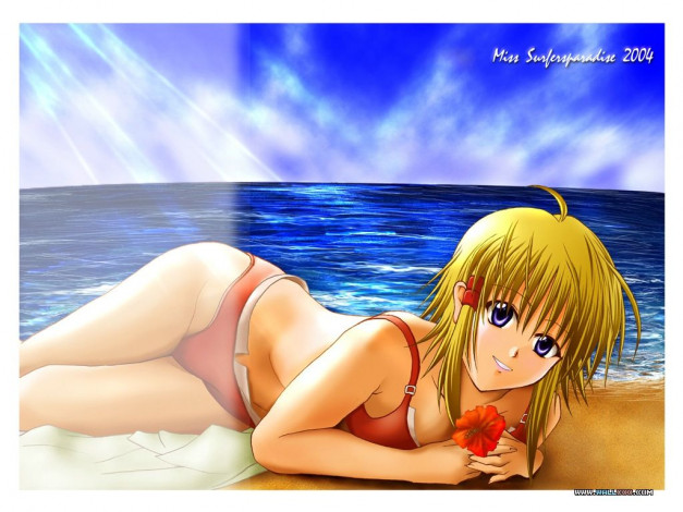 Обои картинки фото аниме, miss, surfersparadise