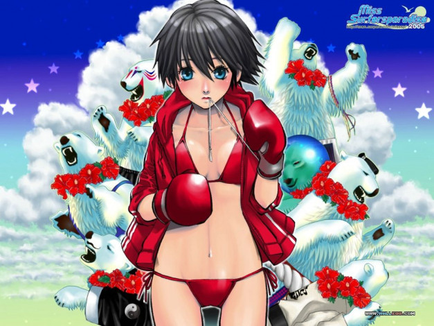 Обои картинки фото аниме, miss, surfersparadise, девушка, глаза, волосы, медведи, перчатки, бокс