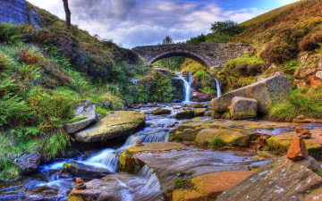 Картинка природа