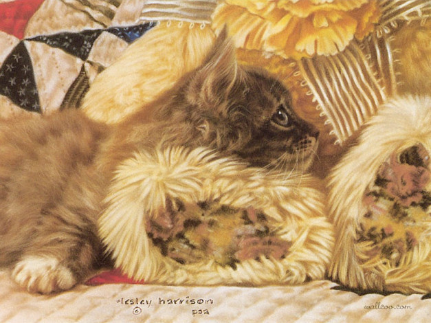 Обои картинки фото рисованные, животные, коты