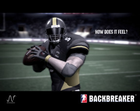 Картинка backbreaker видео игры