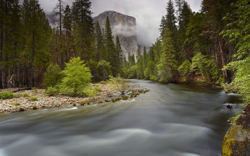 Картинка природа реки озера