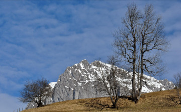 Картинка природа горы дерево небо