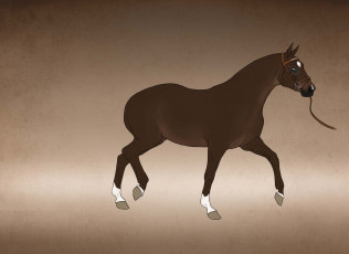 Картинка рисованные животные лошади лошадь